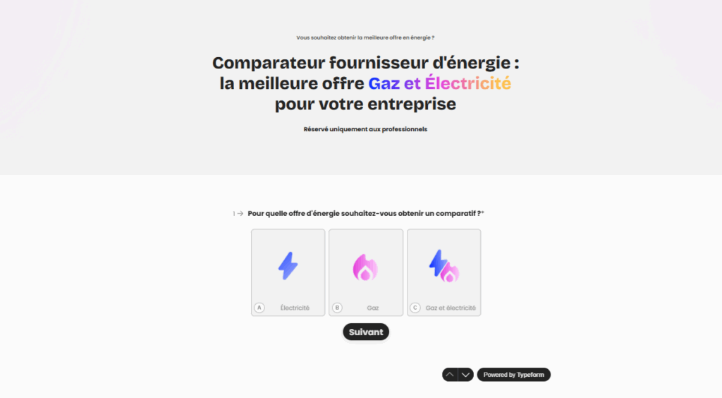 Capture d'écran d'un site Web comparateur d'électricité pro français pour les entreprises, montrant des options de sélection pour l'électricité, le gaz ou les deux, avec un bouton « Suivant » (Suivant) en dessous.