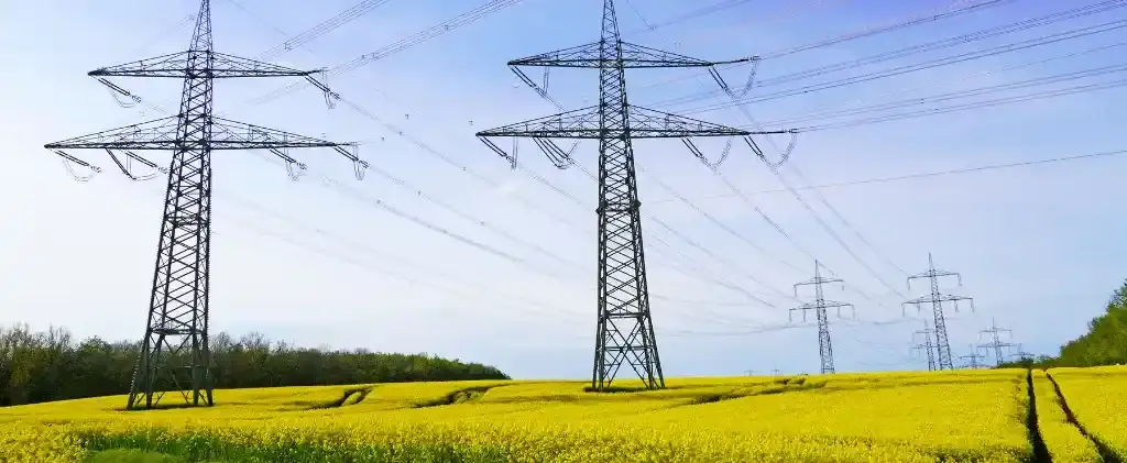 Des lignes électriques à haute tension s'étendent à travers un champ de fleurs jaunes en fleurs sous un ciel bleu clair, se tenant comme des témoins silencieux de l'Évolution des accises 2025.