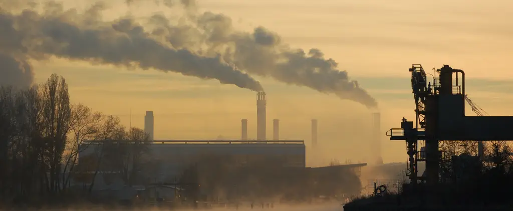 Le paysage industriel présente une usine, émettant de la fumée par plusieurs cheminées. Des silhouettes d'arbres et de structures se détachent au premier plan, sur fond de ciel brumeux.
