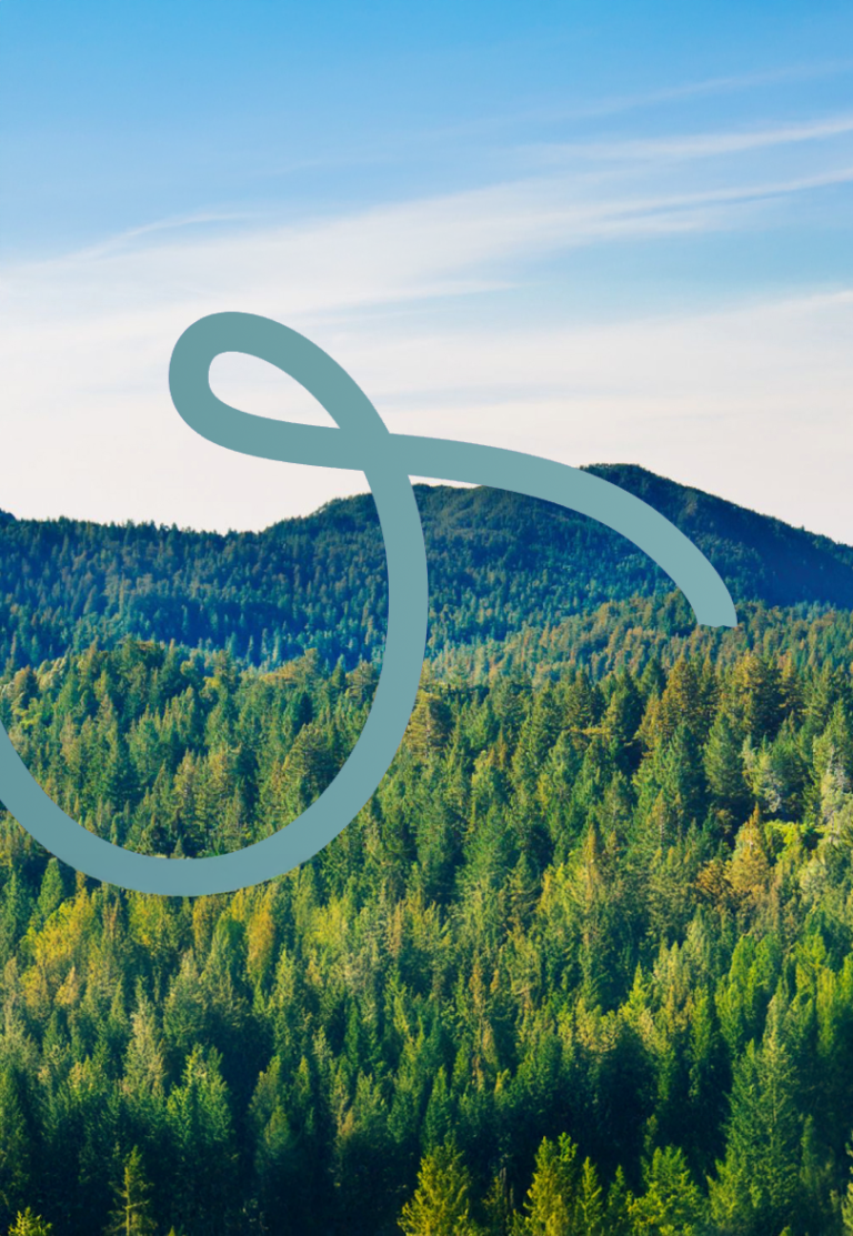 Une grande courbe bleu clair est dessinée sur une forêt dense d'arbres verts et de montagnes sous un ciel bleu vif, symbolisant l'harmonie entre la nature et les initiatives durables comme le « bilan carbone entreprise ».