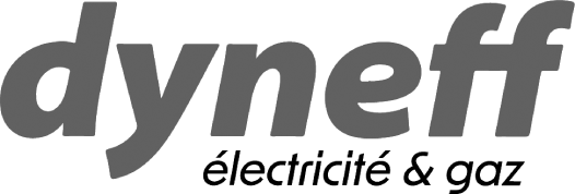L'image affiche le mot « dyneff » en lettres minuscules grises en gras et en italique sur un fond transparent, idéal pour une utilisation dans une bibliothèque d'actifs ou dans le cadre de visuels de marque WP CE.