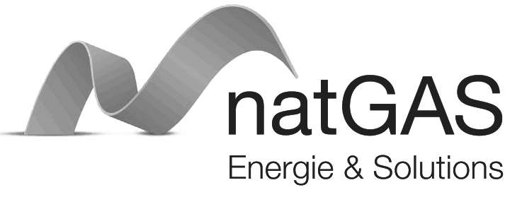 Logo de « natGAS Énergie & Solutions » avec un ruban graphique stylisé à gauche du texte, affiché en niveaux de gris. Idéal pour une utilisation dans votre bibliothèque de ressources ou une intégration aux plateformes WP CE.
