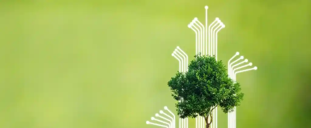 Un petit arbre avec des lignes de circuits numériques émergeant vers le haut derrière lui, symbolisant le lien entre l'audit énergétique copropriété et la nature sur un fond vert.